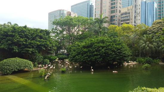 Kowloon park